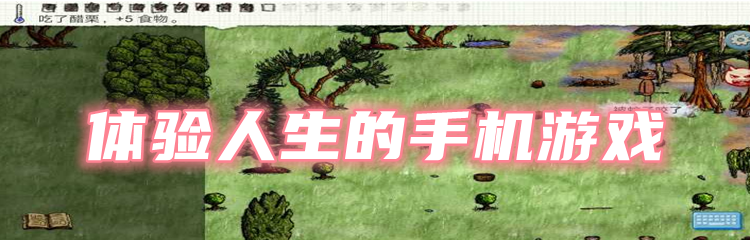 体验人生的手机游戏
