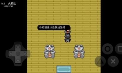 口袋妖怪究极绿宝石修改器