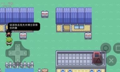 口袋妖怪究极绿宝石修改器