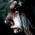 起源盲眼侍女中文版