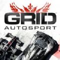 grid runners破解版