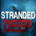 荒岛求生Stranded Deep