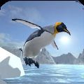 Arctic Penguin