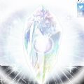 美洲新世界