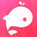 鱼丸星球app