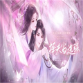 择夫当选强完整版