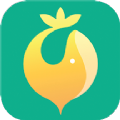 菜总惠app