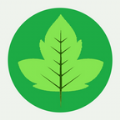 野外植物识别