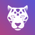 豹壁纸主题APP