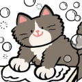 猫猫洗衣(Cat Laundry)