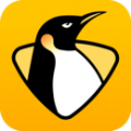 企鹅体育app