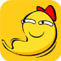 碰哈app