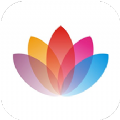 花伴侣植物识别app