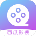 西瓜影视大全