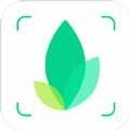 识物app