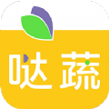 哒蔬净菜app