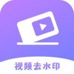 极速去水印大师
