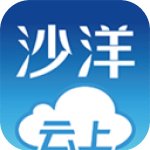 云上沙洋