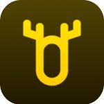 顽鹿教练