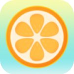 口袋水果