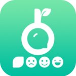小树点