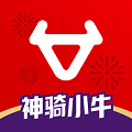 小牛电动