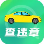 查违章年检
