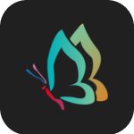秀秀壁纸