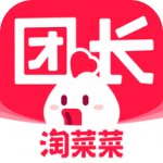 淘菜菜团长