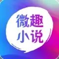 微趣小说无广告
