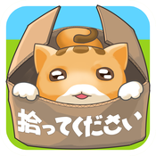 弃猫援救