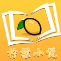 柠檬小说纯净版