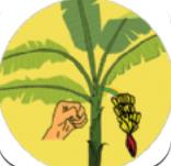 破坏热带植物