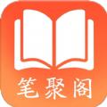 笔聚阁小说换源版
