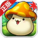 冒险岛联盟的意志台服