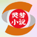 灵梦小说去广告