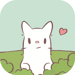 猫咪和汤正版