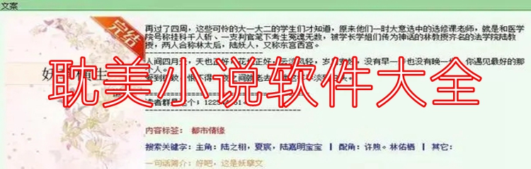 耽美小说软件大全