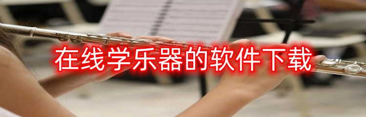 在线学乐器的软件下载