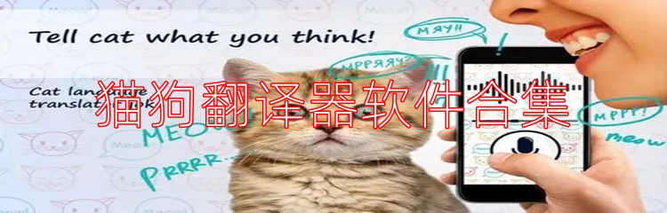 猫狗翻译器软件合集