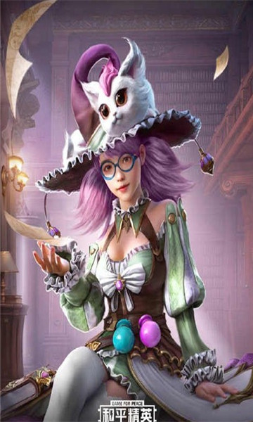 和平精英魔法少女美化包