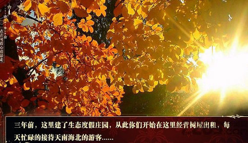 暴走千金完结破解版