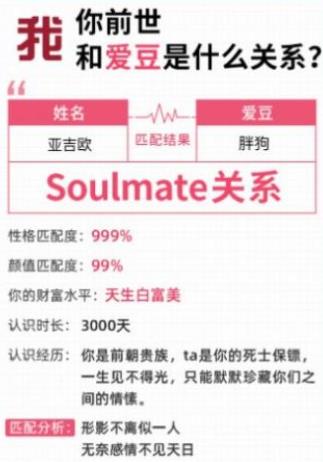 你前世和你爱豆是什么关系官方版