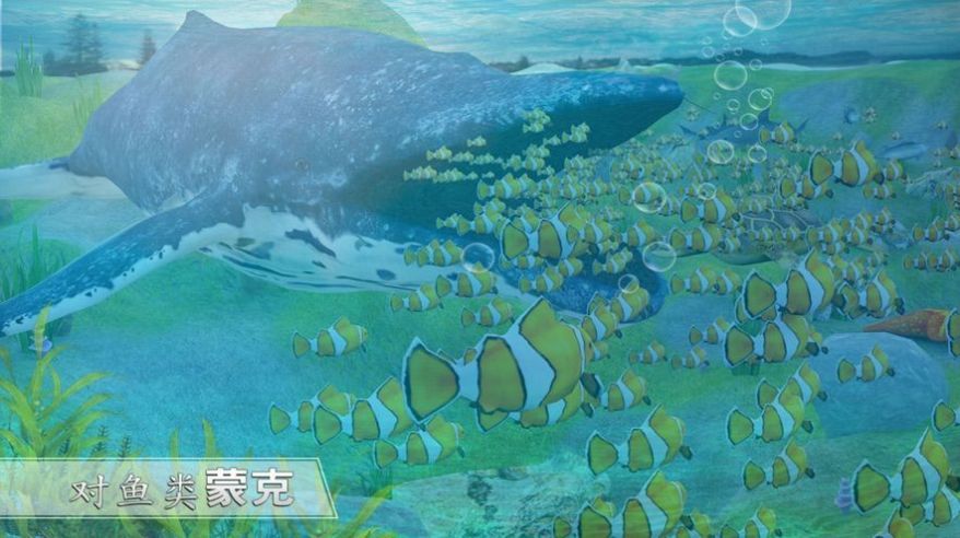 全民养鲸鱼下载红包 全民养鲸鱼下载红包