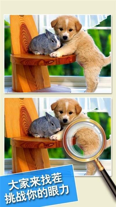 最强找茬破解版