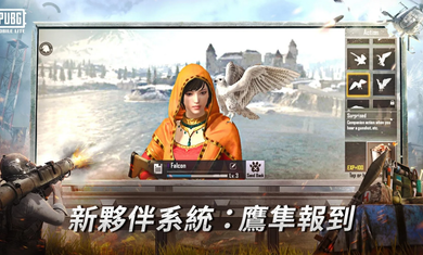 pubg轻量国际服