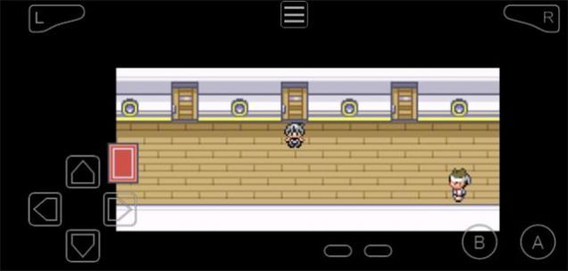 pokemon nameless汉化版