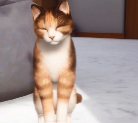 Project Cat Project Cat