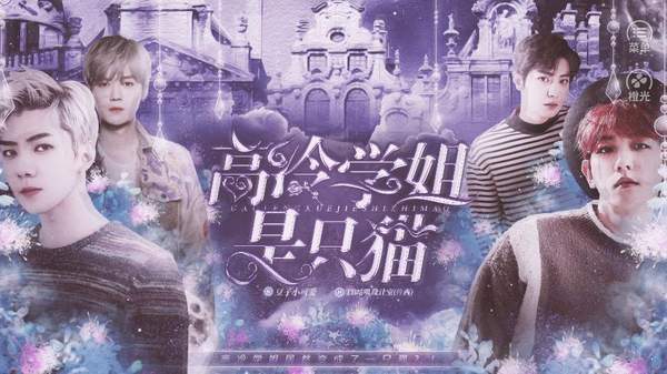 高冷学姐是只猫橙光破解版