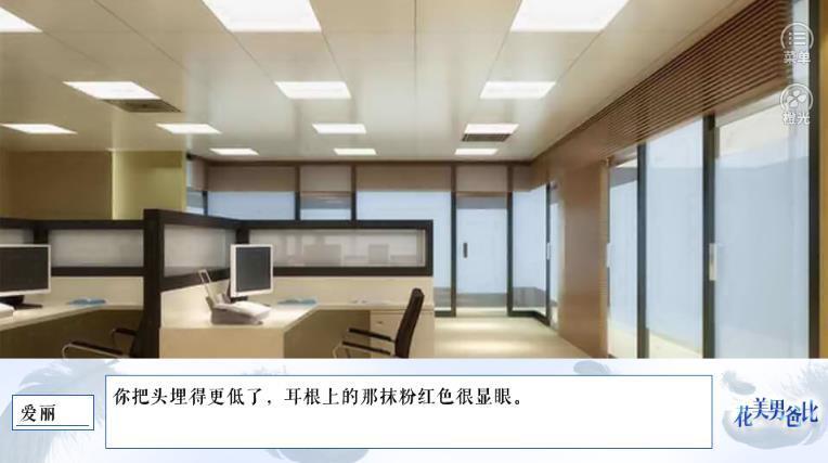 花美男爸比破解版
